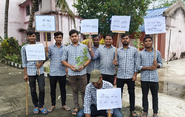 Plantation Activity